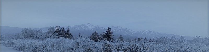 �^�C���Y�y�C�@Times PAY�@�d�q�}�l�[���σT�[�r�X���T�C�g